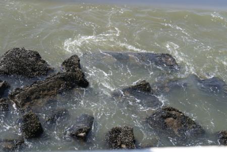 Une journ�e � Ostende