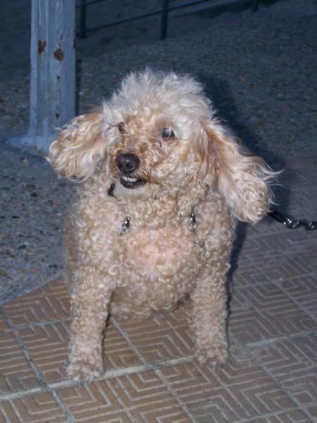 Week-end � Ostende